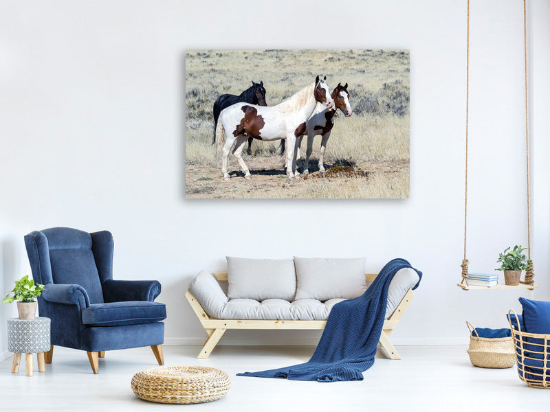 3-piece-canvas-print-3-wild-horses