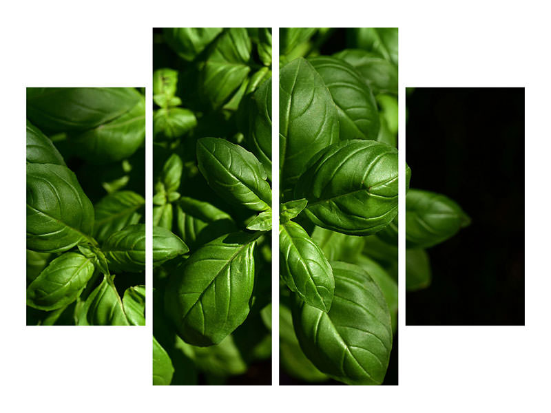 4-piece-canvas-print-basil-in-xl