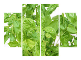 4-piece-canvas-print-basil-in-xxl