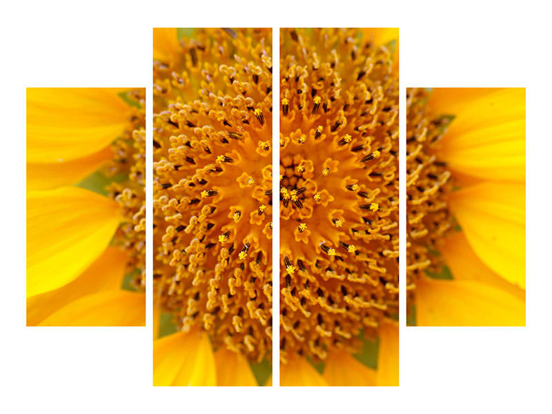 4-piece-canvas-print-beautiful-buds-of-the-sunflower