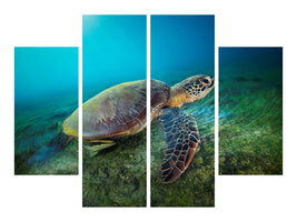 4-piece-canvas-print-green-turtle