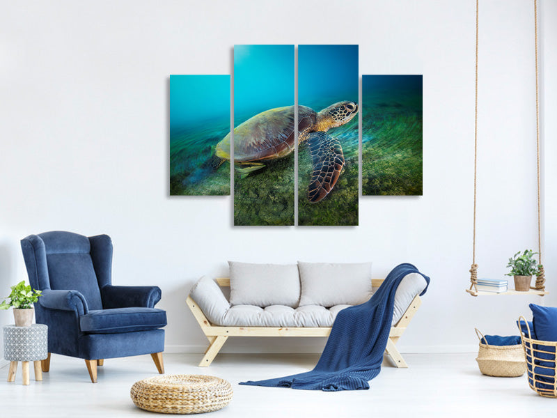 4-piece-canvas-print-green-turtle