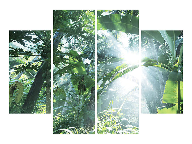 4-piece-canvas-print-jungle-star