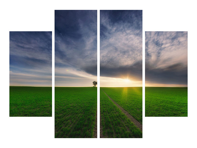 4-piece-canvas-print-loner-in-the-sun