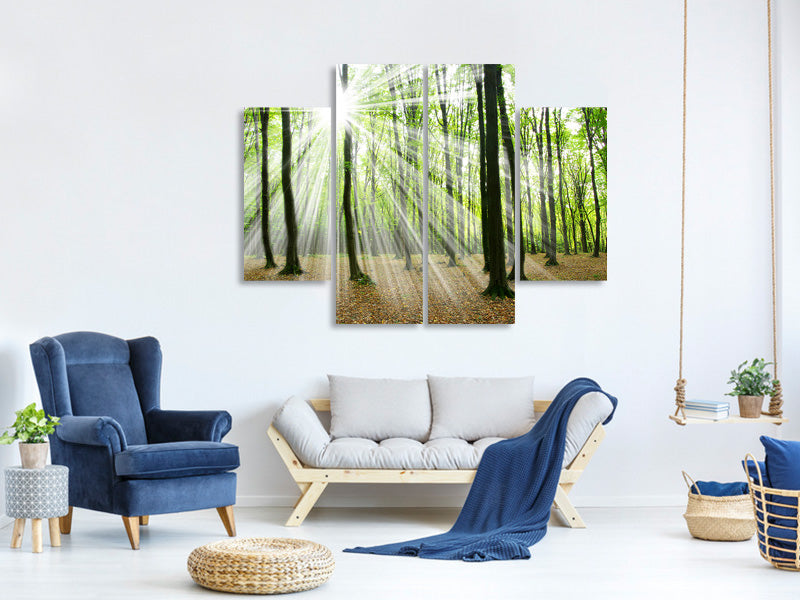 4-piece-canvas-print-magic-light-in-the-trees