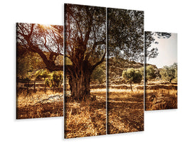 4-piece-canvas-print-olive-grove