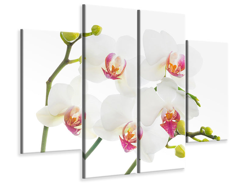 4-piece-canvas-print-orchids-love