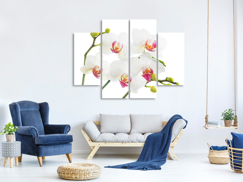 4-piece-canvas-print-orchids-love