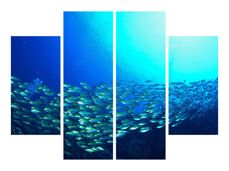 4-piece-canvas-print-shoal-of-fish