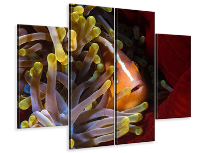 4-piece-canvas-print-skunk-clownfish