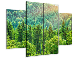 4-piece-canvas-print-the-forest-hill