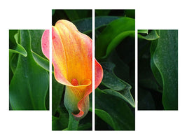 4-piece-canvas-print-wild-calla