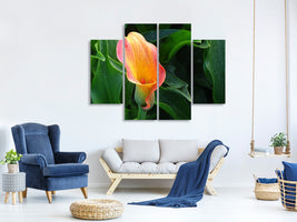 4-piece-canvas-print-wild-calla