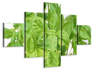 5-piece-canvas-print-basil-in-xxl