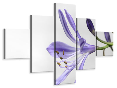 5-piece-canvas-print-lily-flower-in-purple