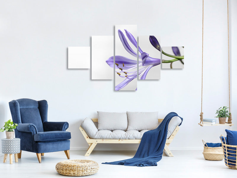 5-piece-canvas-print-lily-flower-in-purple
