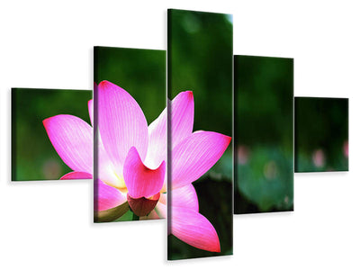 5-piece-canvas-print-lotus-in-nature