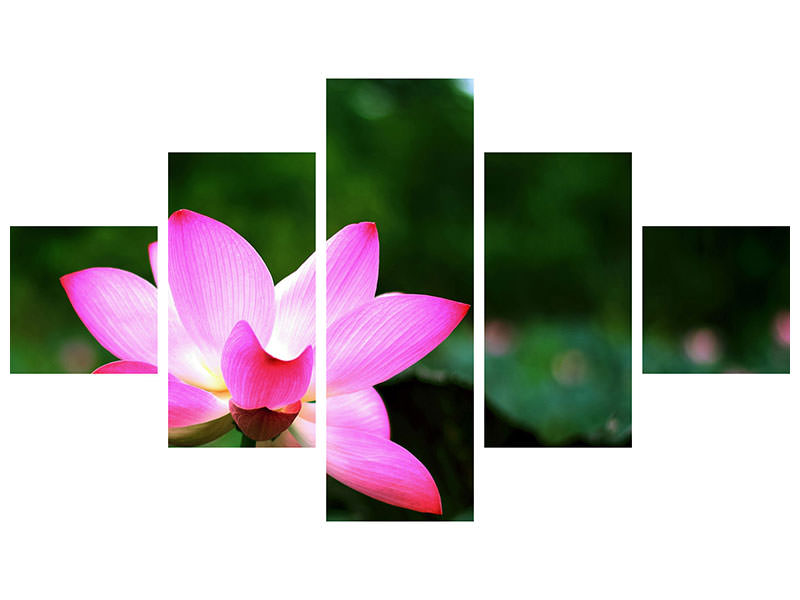 5-piece-canvas-print-lotus-in-nature