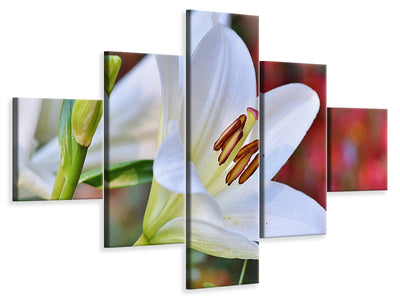 5-piece-canvas-print-magnificent-lily-in-white