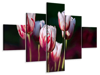 5-piece-canvas-print-the-beauty-of-the-tulips
