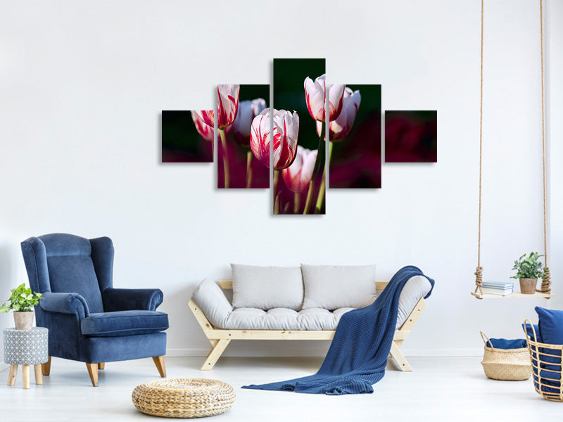 5-piece-canvas-print-the-beauty-of-the-tulips