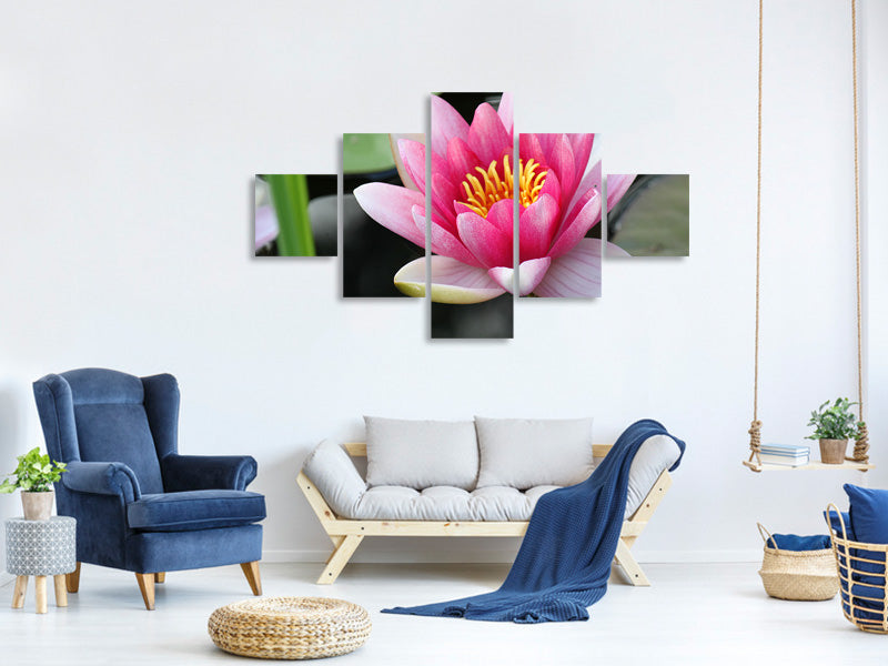 5-piece-canvas-print-the-water-lily-in-pink