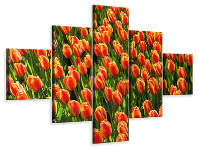 5-piece-canvas-print-tulip-field-in-orange
