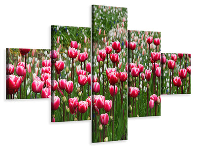 5-piece-canvas-print-wild-tulip-field