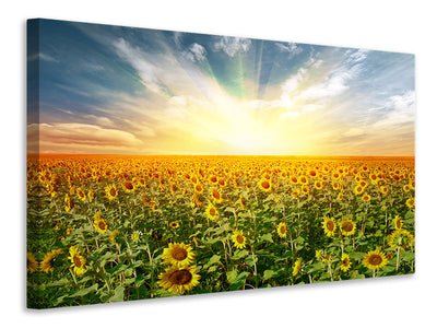 5-piece-canvas-print-a-field-full-of-sunflowers