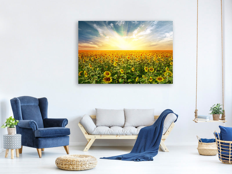 modern-4-piece-canvas-print-a-field-full-of-sunflowers