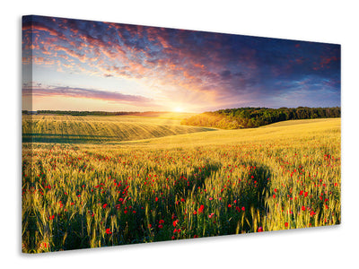 modern-3-piece-canvas-print-a-flower-field-at-sunrise