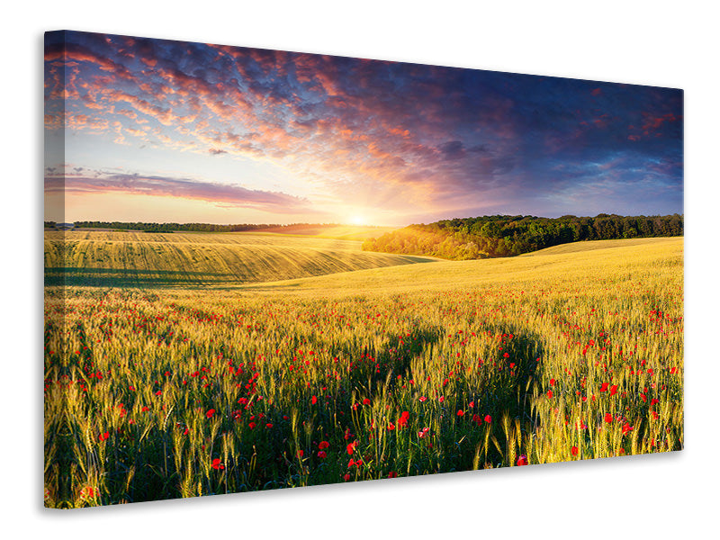 4-piece-canvas-print-a-flower-field-at-sunrise