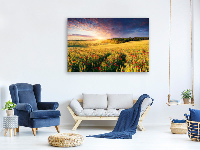 modern-3-piece-canvas-print-a-flower-field-at-sunrise