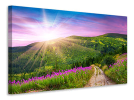 modern-4-piece-canvas-print-a-summer-landscape-at-sunrise