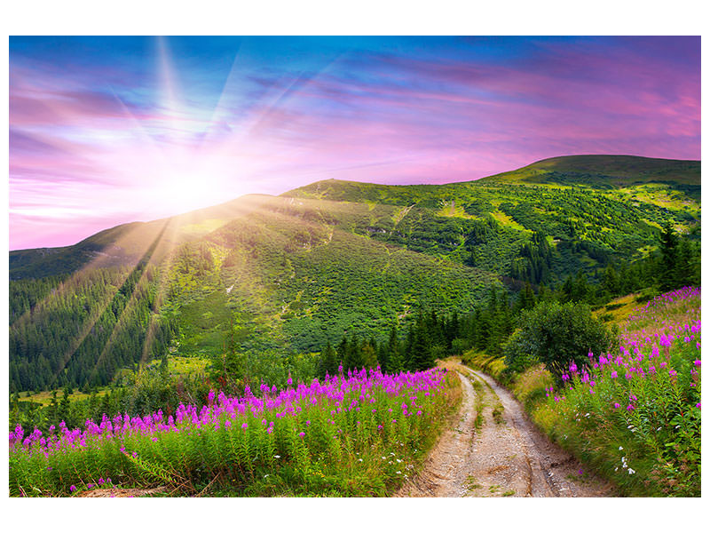 modern-4-piece-canvas-print-a-summer-landscape-at-sunrise