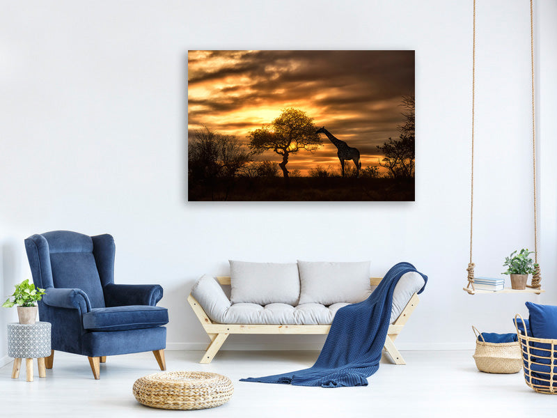 modern-4-piece-canvas-print-african-dreams