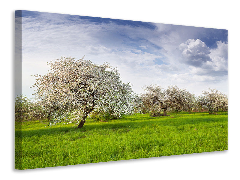 modern-4-piece-canvas-print-apple-tree-garden