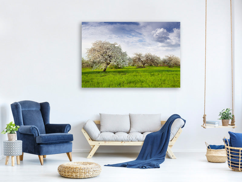 modern-4-piece-canvas-print-apple-tree-garden