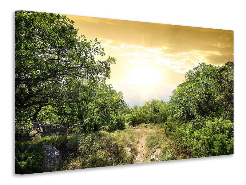 panoramic-3-piece-canvas-print-at-the-end-of-the-forest