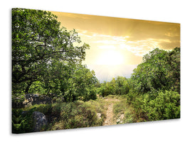 modern-4-piece-canvas-print-at-the-end-of-the-forest