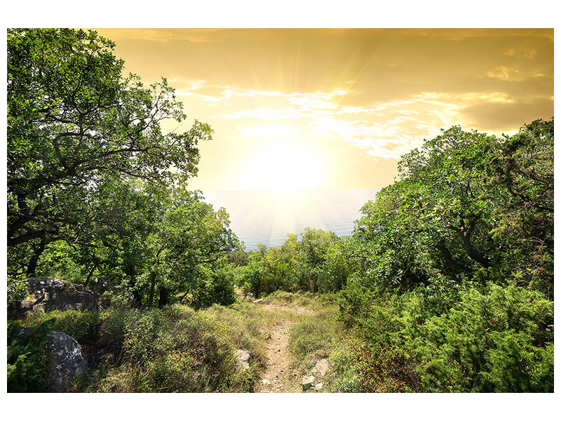 panoramic-3-piece-canvas-print-at-the-end-of-the-forest