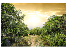 5-piece-canvas-print-at-the-end-of-the-forest