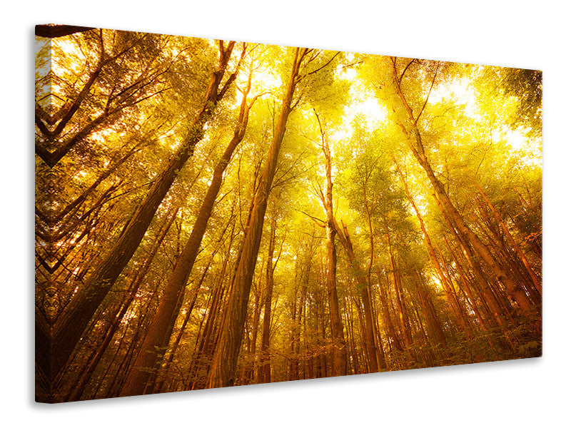 modern-4-piece-canvas-print-autumn-forest