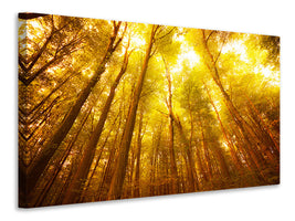 5-piece-canvas-print-autumn-forest