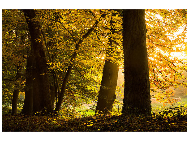 modern-4-piece-canvas-print-autumn-leaves