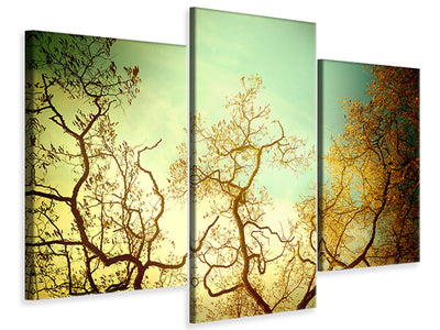 3-piece-canvas-print-autumn-trees-ii