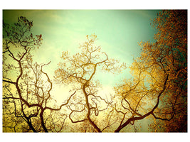 5-piece-canvas-print-autumn-trees-ii