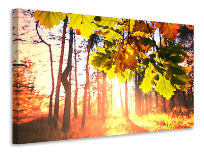 4-piece-canvas-print-autumn