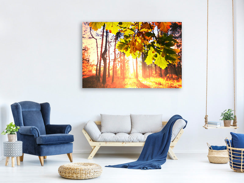 4-piece-canvas-print-autumn