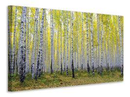 5-piece-canvas-print-autumnal-birch-forest